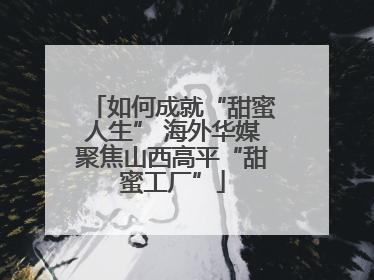 如何成就“甜蜜人生” 海外华媒聚焦山西高平“甜蜜工厂”