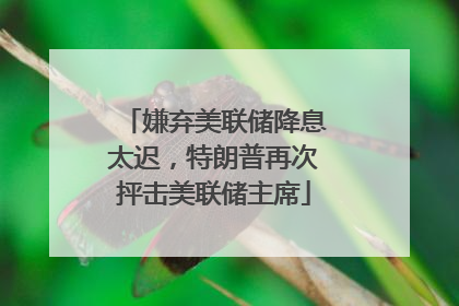 嫌弃美联储降息太迟，特朗普再次抨击美联储主席