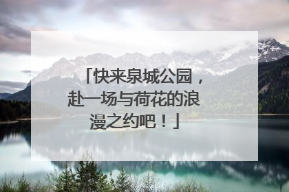 快来泉城公园，赴一场与荷花的浪漫之约吧！