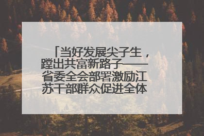 当好发展尖子生，蹚出共富新路子——省委全会部署激励江苏干部群众促进全体人民共同富裕