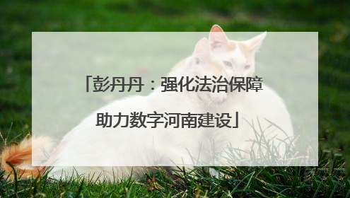 彭丹丹：强化法治保障 助力数字河南建设