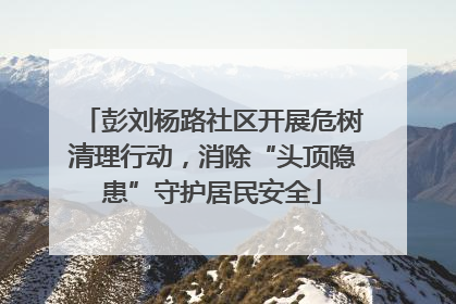 彭刘杨路社区开展危树清理行动，消除“头顶隐患”守护居民安全