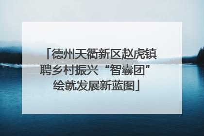 德州天衢新区赵虎镇聘乡村振兴“智囊团” 绘就发展新蓝图