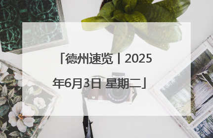 德州速览丨2025年6月3日 星期二