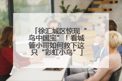 徐汇城区惊现“鸟中国宝”！看城管小哥如何救下这只“彩虹小鸟”