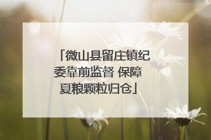 微山县留庄镇纪委靠前监督 保障夏粮颗粒归仓