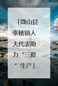 微山县张楼镇人大代表助力“三夏”生产