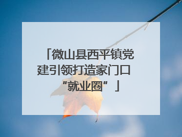 微山县西平镇党建引领打造家门口“就业圈”