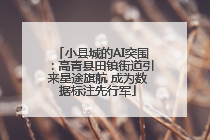 小县城的AI突围：高青县田镇街道引来星途旗航 成为数据标注先行军