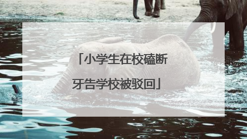 小学生在校磕断牙告学校被驳回