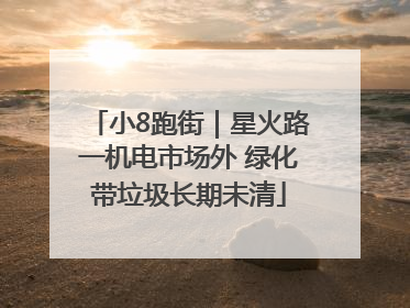 小8跑街｜星火路一机电市场外 绿化带垃圾长期未清