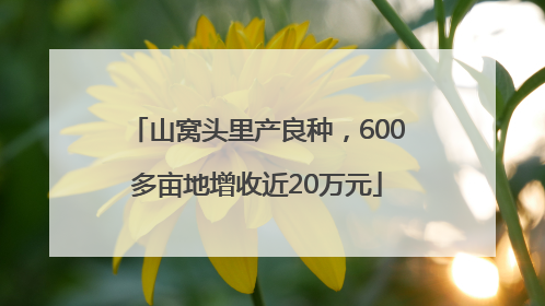 山窝头里产良种，600多亩地增收近20万元