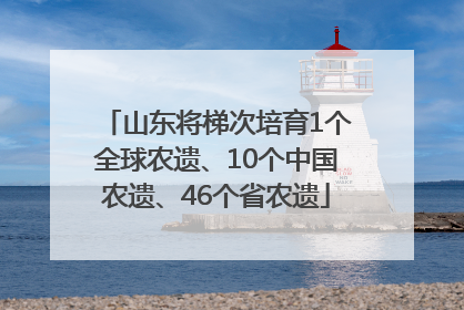山东将梯次培育1个全球农遗、10个中国农遗、46个省农遗