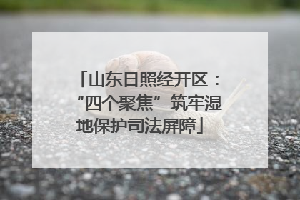 山东日照经开区：“四个聚焦”筑牢湿地保护司法屏障