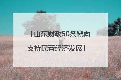 山东财政50条靶向支持民营经济发展