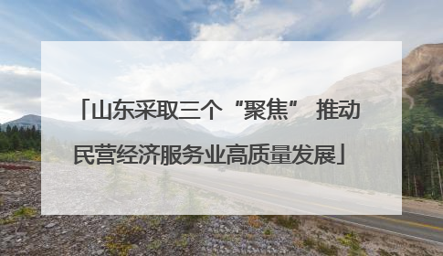 山东采取三个“聚焦” 推动民营经济服务业高质量发展