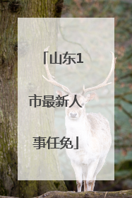 山东1市最新人事任免