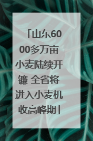 山东6000多万亩小麦陆续开镰 全省将进入小麦机收高峰期