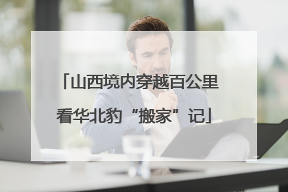 山西境内穿越百公里 看华北豹“搬家”记