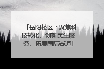岳阳楼区：聚焦科技转化、创新民生服务、拓展国际赛道