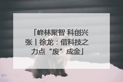 峰林聚智 科创兴张丨徐龙：借科技之力点“废”成金