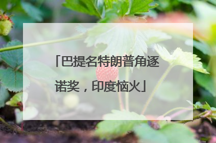 巴提名特朗普角逐诺奖，印度恼火