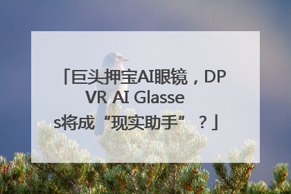 巨头押宝AI眼镜，DPVR AI Glasses将成“现实助手”？
