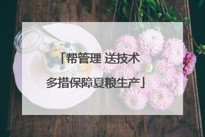 帮管理 送技术 多措保障夏粮生产