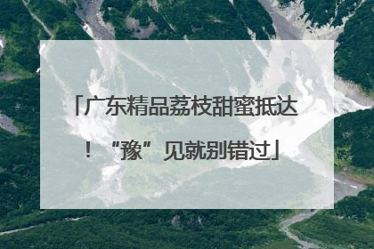 广东精品荔枝甜蜜抵达！“豫”见就别错过