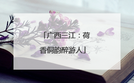 广西三江：荷香侗韵醉游人