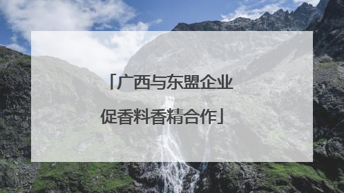 广西与东盟企业促香料香精合作