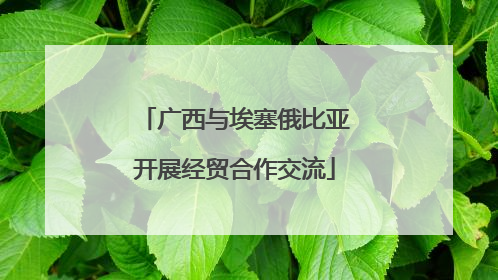广西与埃塞俄比亚开展经贸合作交流