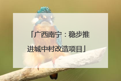 广西南宁：稳步推进城中村改造项目