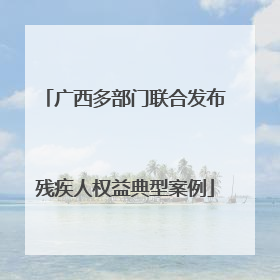 广西多部门联合发布残疾人权益典型案例