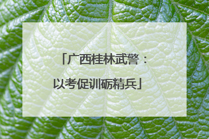 广西桂林武警：以考促训砺精兵