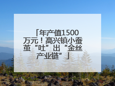 年产值1500万元！高兴镇小蚕茧“吐”出“金丝产业链”