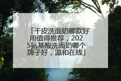 干皮洗面奶哪款好用值得推荐，2025氨基酸洗面奶哪个牌子好，温和在线