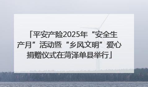 平安产险2025年“安全生产月”活动暨“乡风文明”爱心捐赠仪式在菏泽单县举行