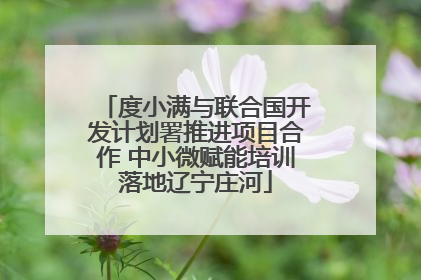 度小满与联合国开发计划署推进项目合作 中小微赋能培训落地辽宁庄河