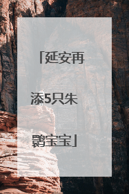 延安再添5只朱鹮宝宝