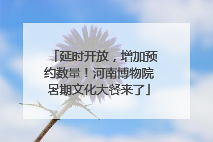 延时开放，增加预约数量！河南博物院暑期文化大餐来了
