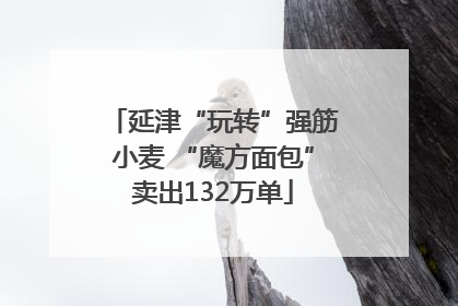 延津“玩转”强筋小麦 “魔方面包”卖出132万单