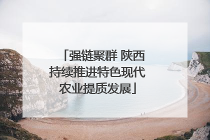 强链聚群 陕西持续推进特色现代农业提质发展