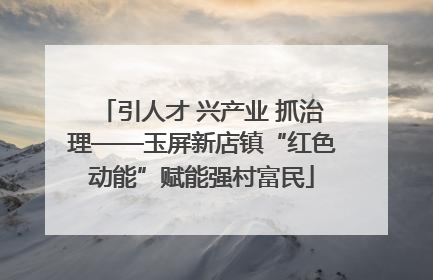 引人才 兴产业 抓治理——玉屏新店镇“红色动能”赋能强村富民