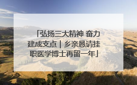 弘扬三大精神 奋力建成支点｜乡亲恳请挂职医学博士再留一年