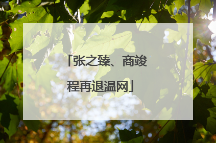 张之臻、商竣程再退温网
