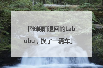 张朝阳退回的Labubu，换了一辆车
