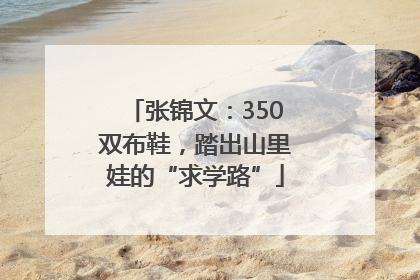 张锦文：350双布鞋，踏出山里娃的“求学路”
