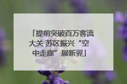 提前突破百万客流大关 苏区振兴“空中走廊”展新翼