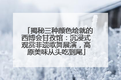 揭秘三种颜色绘就的西博会甘孜馆：沉浸式观赏非遗歌舞展演，高原美味从头吃到尾